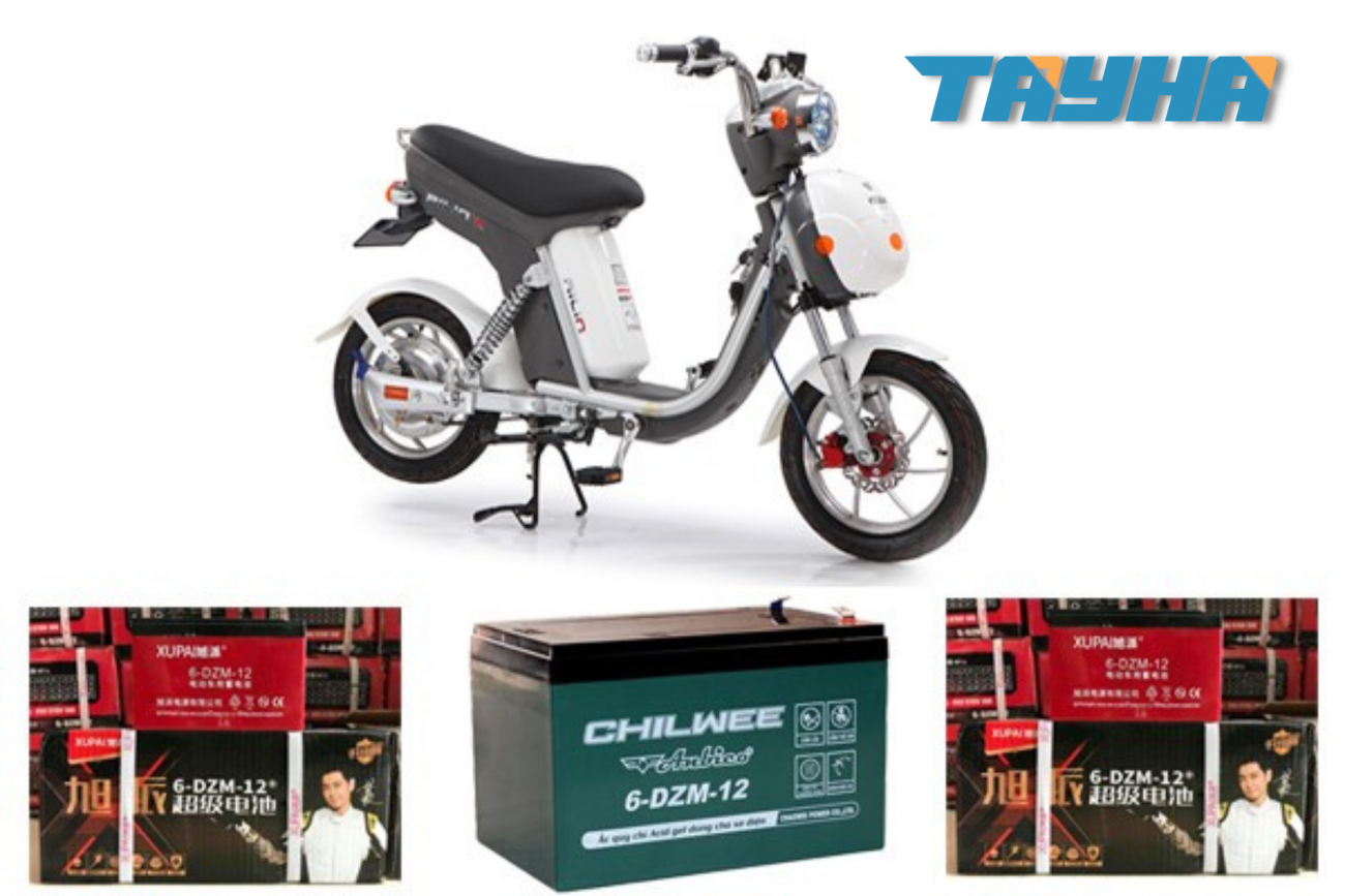 Bình ắc quy cho xe đạp điện, xe máy điện