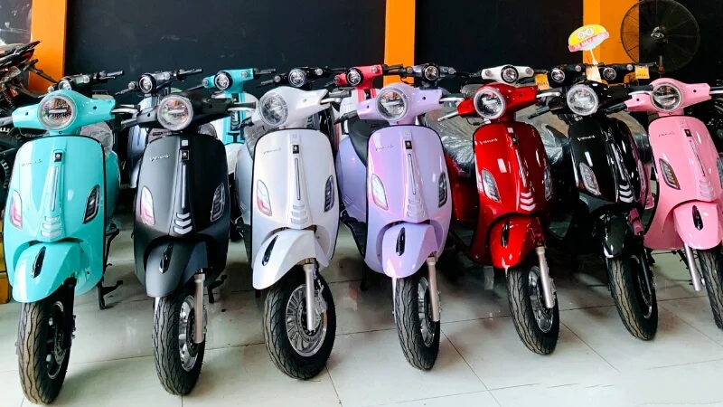 Giá của những mâu xe đạp điện DK Bike giao động từ khoảng 8 - 22 triệu đồng