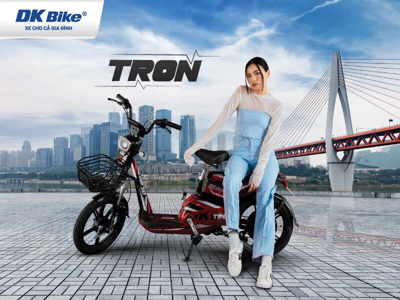 Tìm hiểu dòng xe đạp điện DK Bike