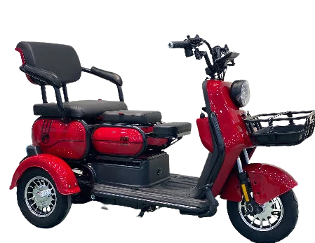 Xe điện 3 bánh M6