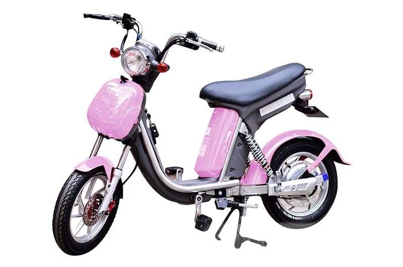 Xe đạp điện dành cho nữ Nijia kiểu dáng ấn tượng 